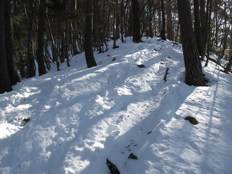 20180209hike (60)